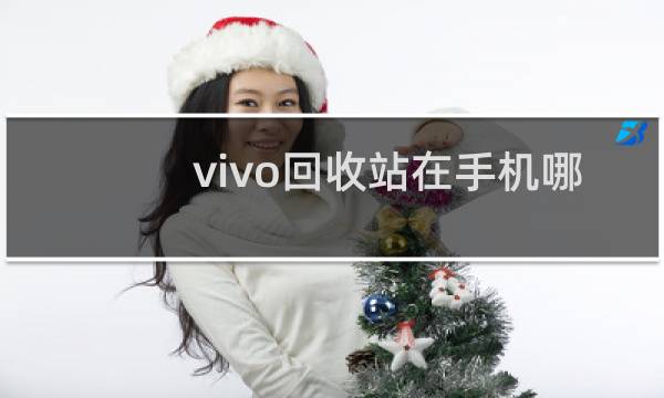 vivo回收站在手机哪里找