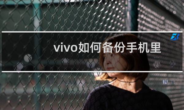 vivo如何备份手机里的所有东西