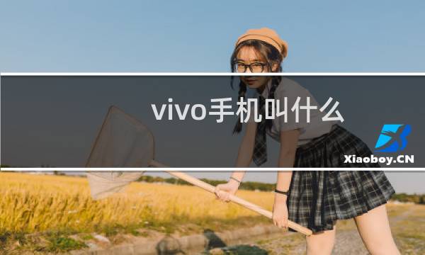 vivo手机叫什么