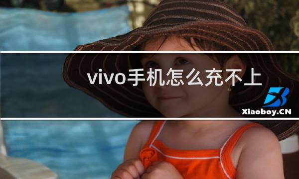 vivo手机怎么充不上电