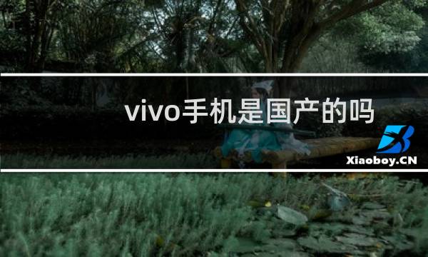 vivo手机是国产的吗