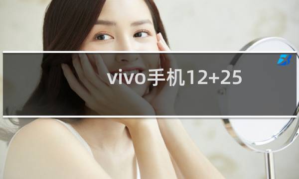 vivo手机12+256g多少钱
