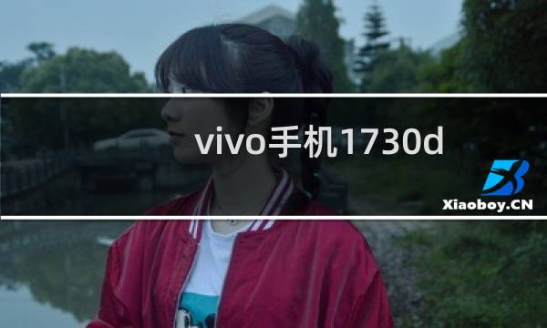 vivo手机1730da是什么型号