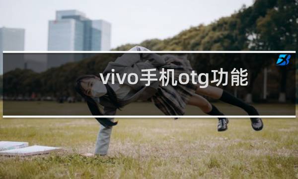 vivo手机otg功能怎么用