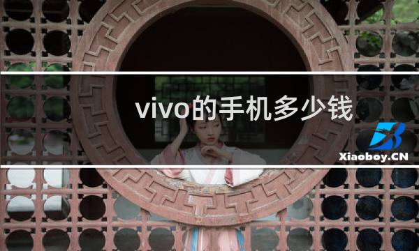 vivo的手机多少钱