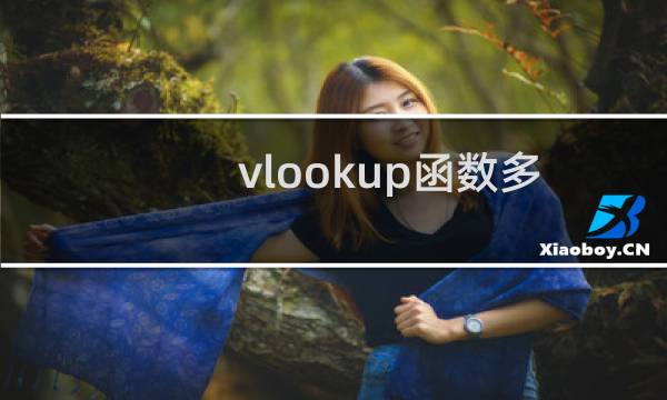 vlookup函数多条件查找怎么做