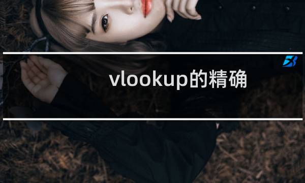 vlookup的精确查找