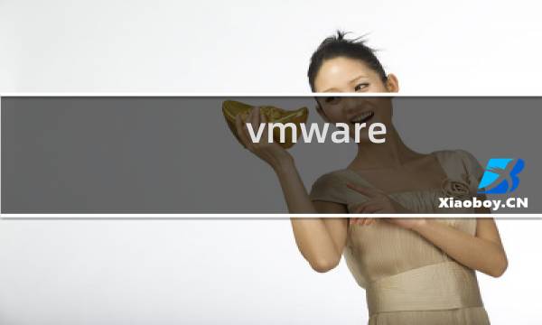 vmware 中文翻译是什么意思?