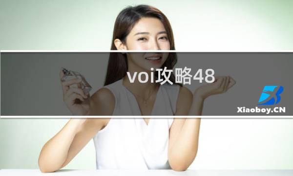 voi攻略48