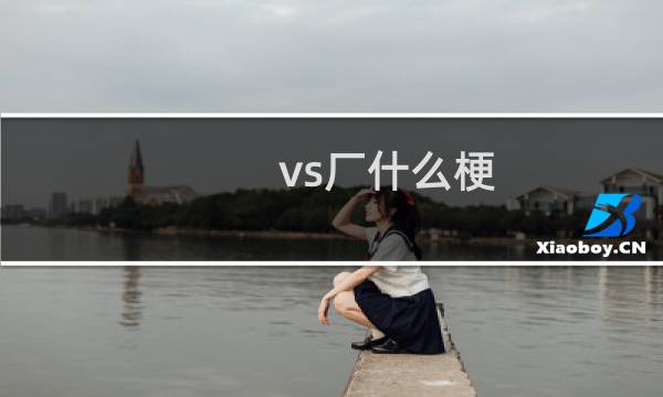 vs厂什么梗