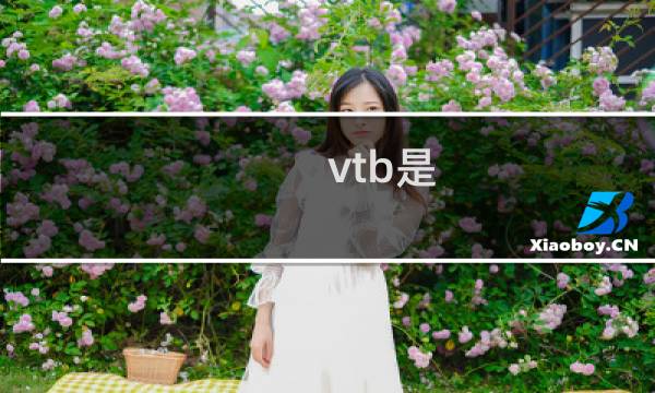 vtb是 二次元虚拟主播什么梗