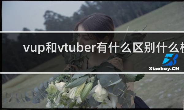 vup和vtuber有什么区别什么梗