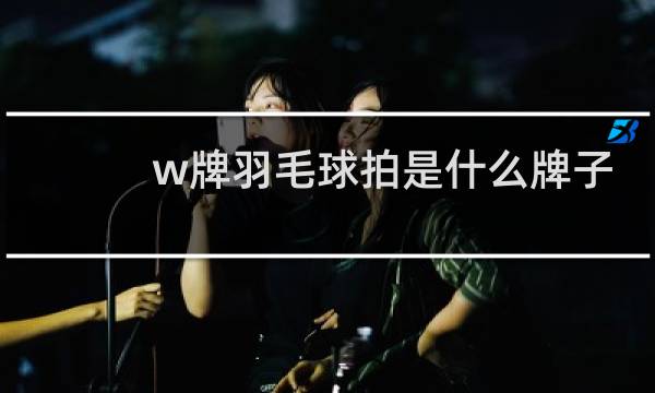 w牌羽毛球拍是什么牌子