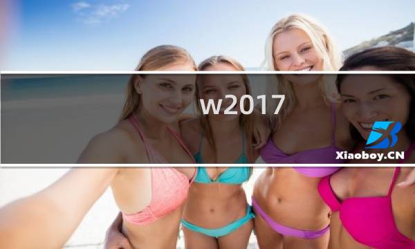 w2017  价格