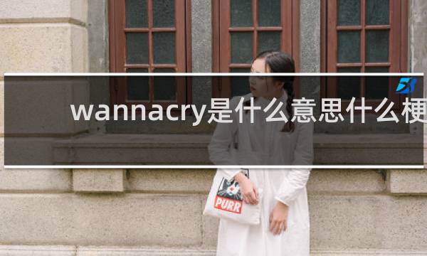 wannacry是什么意思什么梗