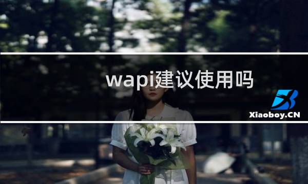 wapi建议使用吗（wapi建议打开吗）图片