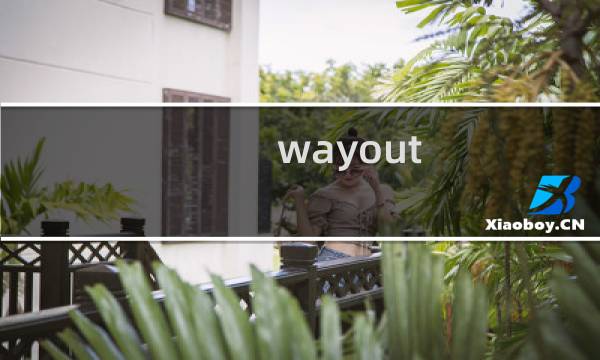 wayout 攻略