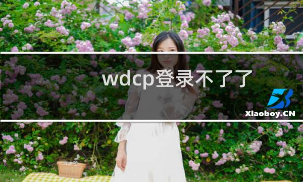 wdcp登录不了了-云服务器问题