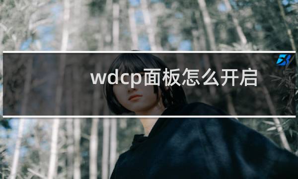 wdcp面板怎么开启服务器端包含 支持SSI(.shtml和
