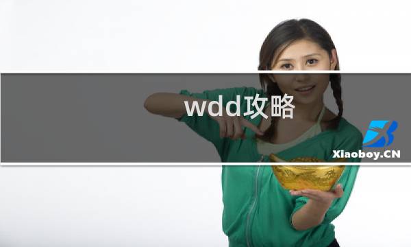 wdd攻略