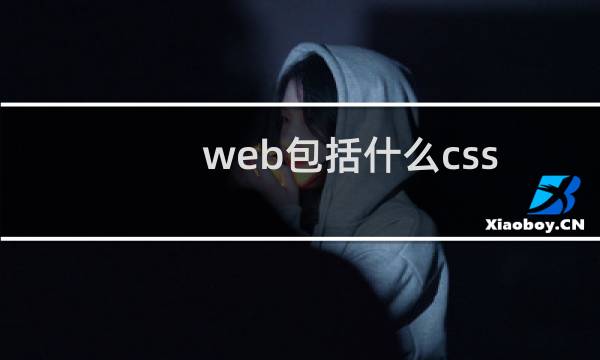 web包括什么css