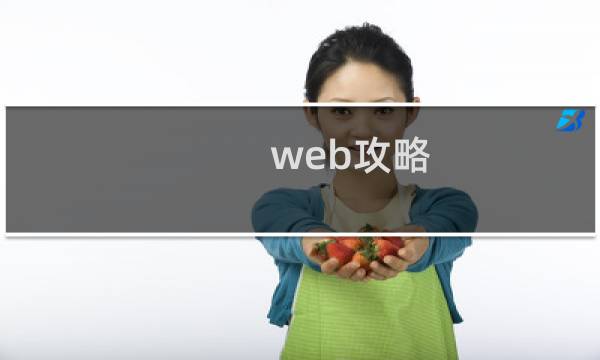 web攻略