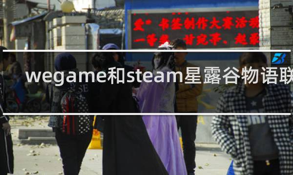 wegame和steam星露谷物语联机