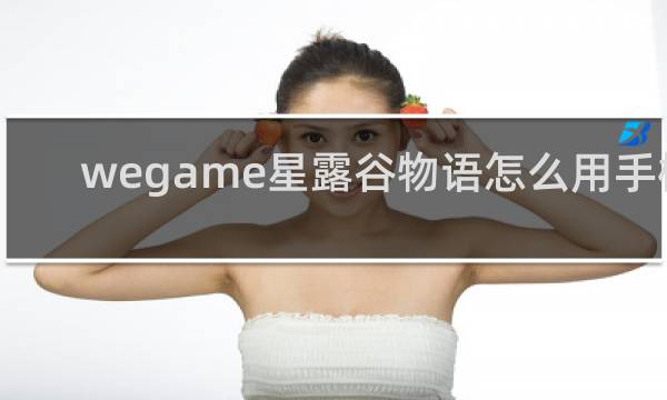 wegame星露谷物语怎么用手柄