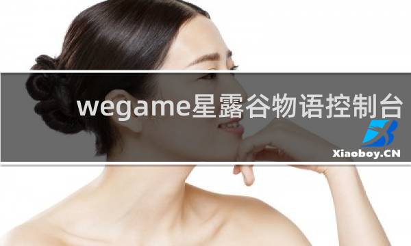 wegame星露谷物语控制台