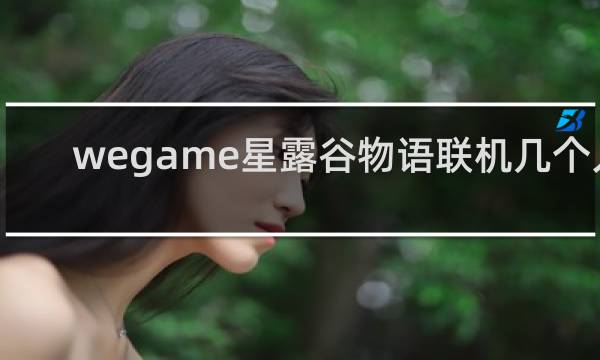 wegame星露谷物语联机几个人