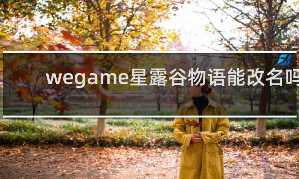 wegame星露谷物语能改名吗