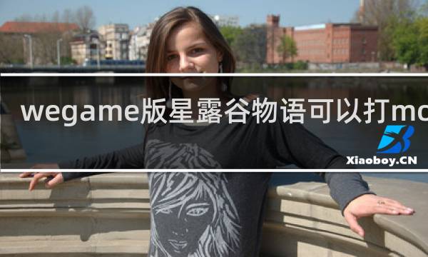 wegame版星露谷物语可以打mod吗