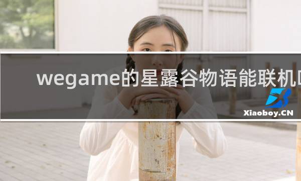 wegame的星露谷物语能联机吗