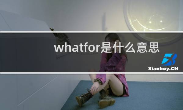 whatfor是什么意思