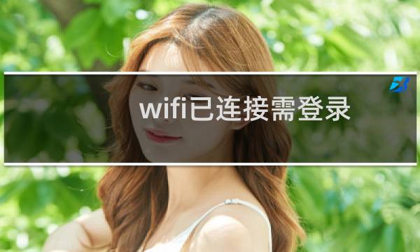 wifi已连接需登录认证不能上网（wifi已连接需登录认证）图片
