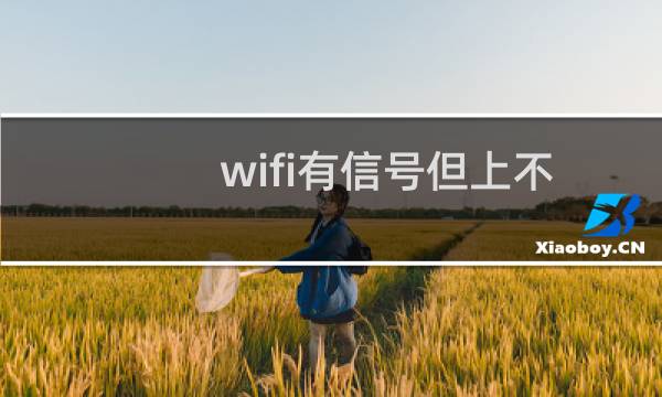 wifi有信号但上不了网怎么办