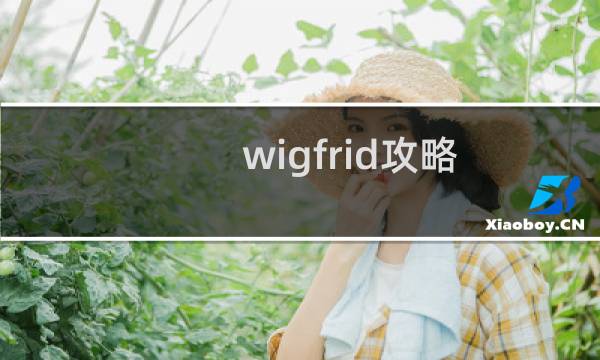 wigfrid攻略