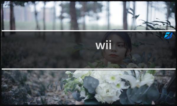 wii 最终幻想8