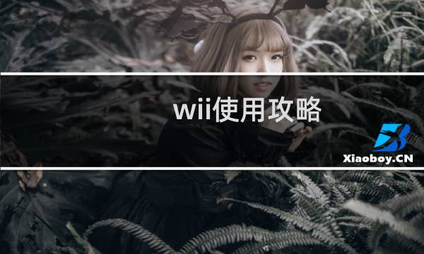 wii使用攻略