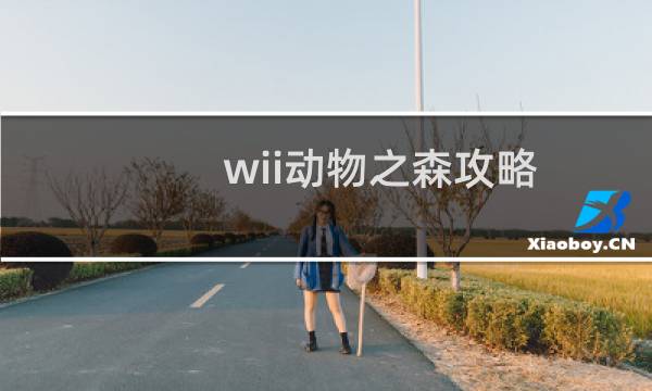 wii动物之森攻略