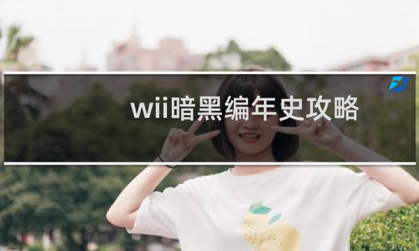 wii暗黑编年史攻略