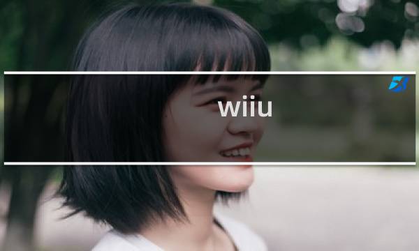 wiiu 路易 攻略