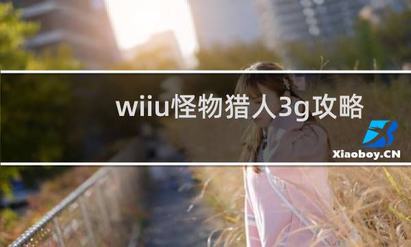 wiiu怪物猎人3g攻略
