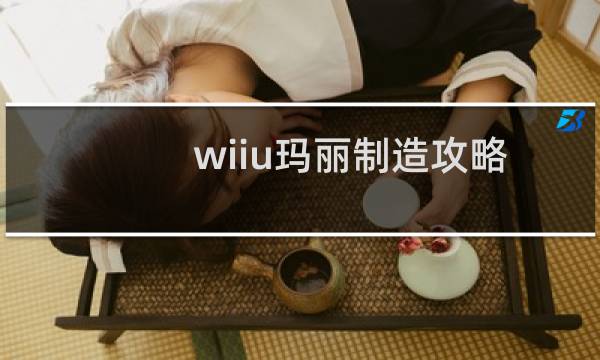 wiiu玛丽制造攻略
