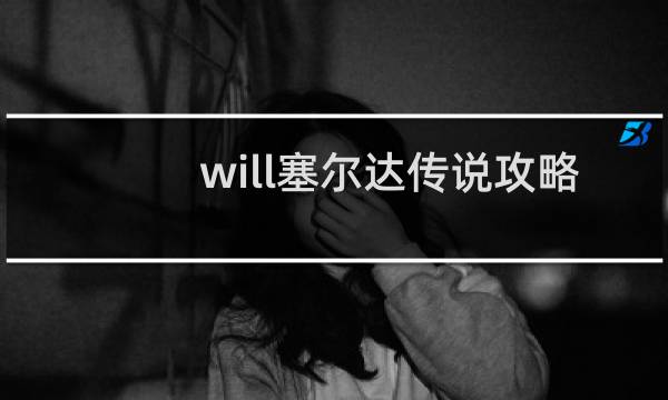 will塞尔达传说攻略