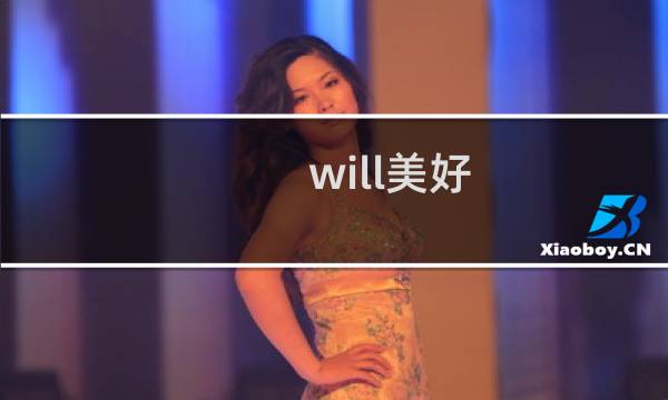 will美好 攻略