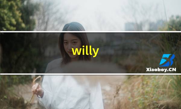willy 攻略
