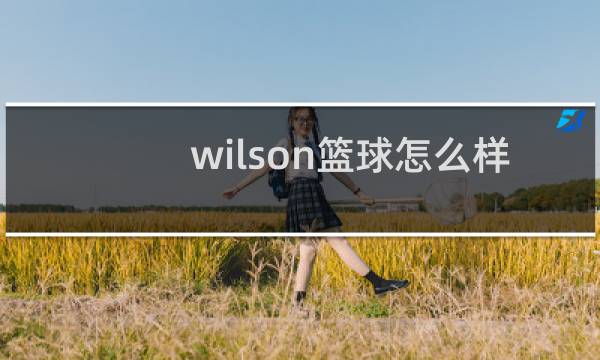 wilson篮球怎么样