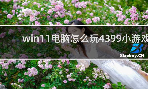 win11电脑怎么玩4399小游戏