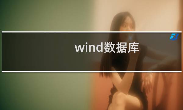 wind数据库 免费版